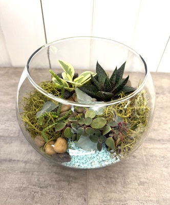 Terrarium from Aladdin's Floral in Idaho Falls
